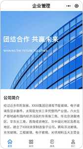 案例展示